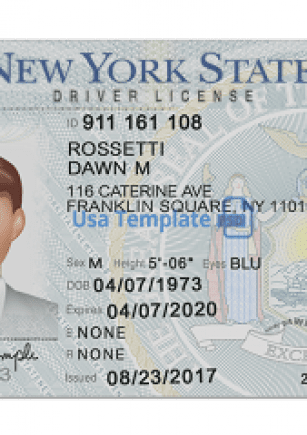 driver's license new york