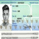 Buy French ID Card - Image 2