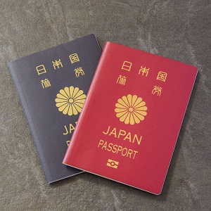 Camouflage Passport