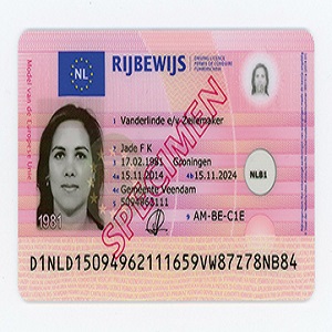 buy dutch driver's license, buy fake passport online