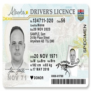 buy Canadian driver's licence, buy fake passport online