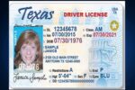 Buy US Driver's License - Image 3