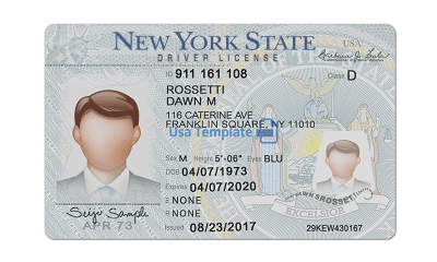 driver's license new york