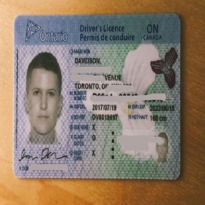 Buy Canadian Driver License Online for Sale | Verfied Documents